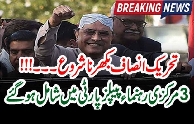 سابق صدر آصف علی زرداری