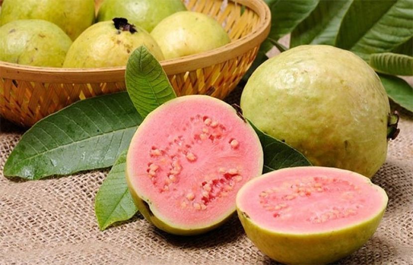 روزانہ امرود کھانے کے یہ فوائد آپ کو ضرور پسند آئیں گے