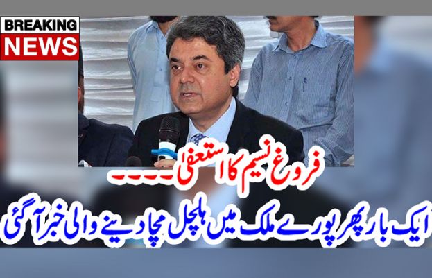  وفاقی وزیر قانون بیرسٹر فروغ نسیم