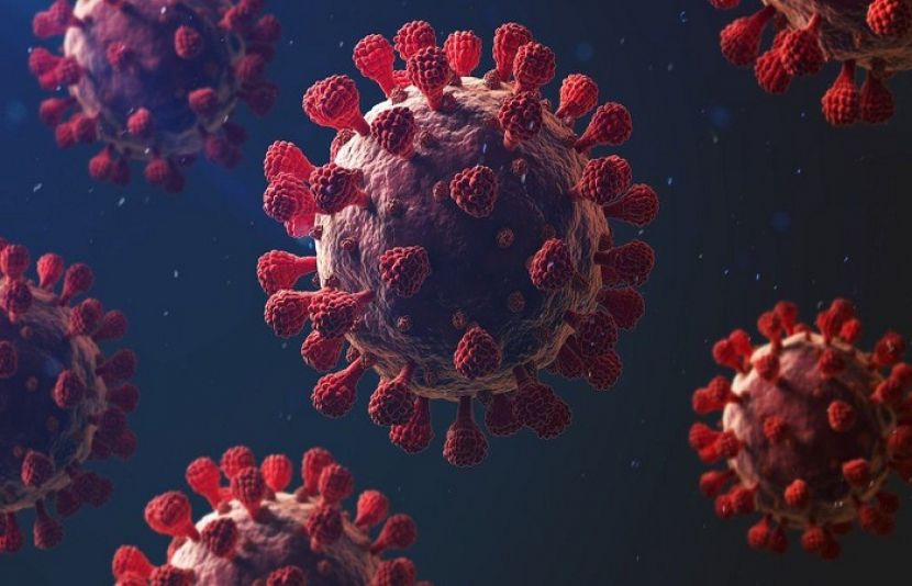کورونا وائرس سے گزشتہ 24 گھنٹوں کے دوران مزید 86 افراد جاں بحق