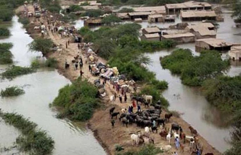 سیلاب متاثرین کے ساتھاداکارہ ریشم کی یکجہتی