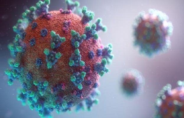 دنیا بھر میں کورونا وائرس سے متاثرین کی تعداد 3کروڑ41لاکھ 54ہزار636 سے تجاوزکرگئی 