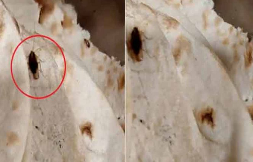 پارلیمنٹ کیفے ٹیریا کے کھانے سے کاکروچ نکل آیا،سپیکر کا سخت نوٹس،ٹھیکہ منسوخ