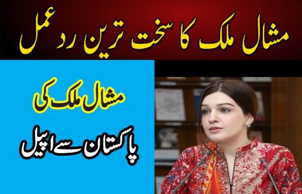 اب وقت آگیا ہے کہ پاکستانی اپنے مظلوم کشمیری بھائیوں کیلیے اٹھ کھڑے ہوں، مشال ملک کی اپیل