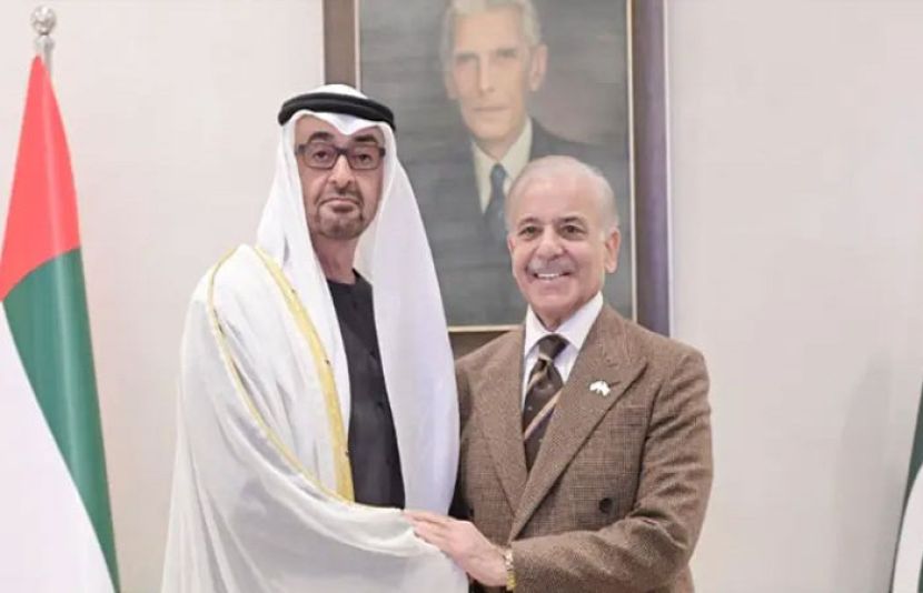 وزیراعظم شہباز شریف کی متحدہ عرب امارات کے صدر سے ملاقات، علاقائی امور پر تبادلہ خیال
