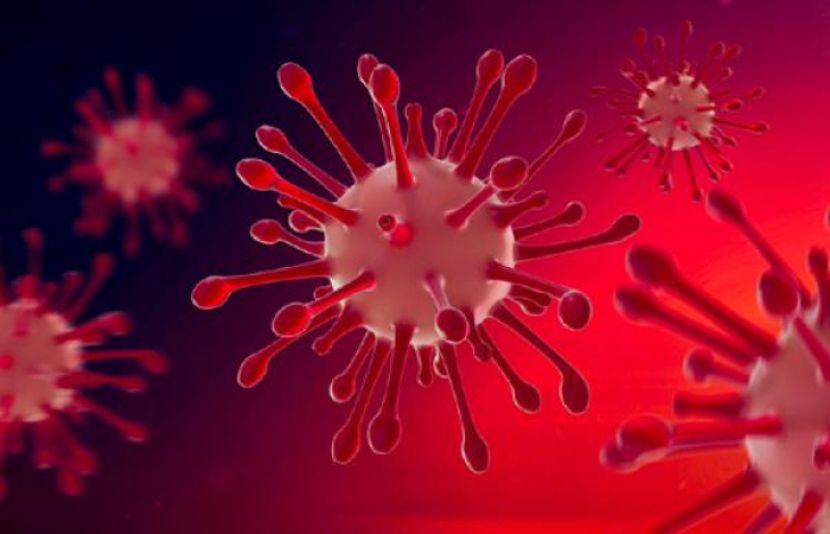 پاکستان میں کورونا وائرس