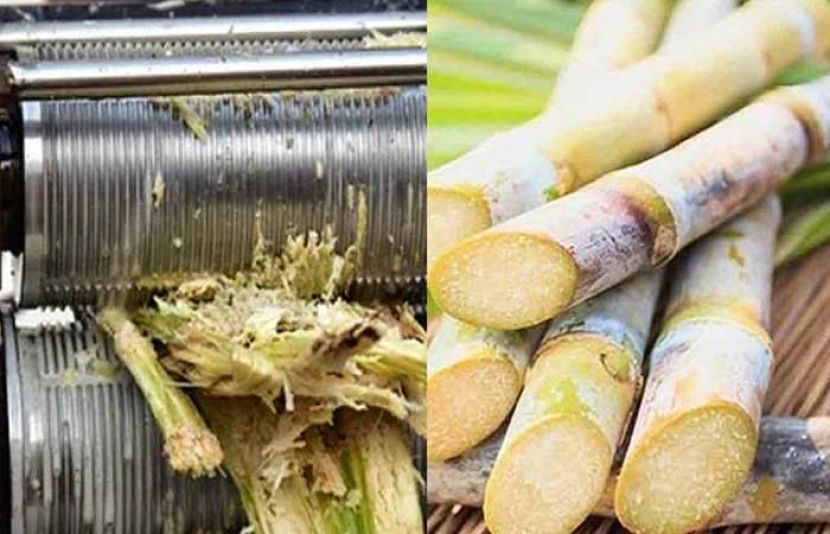 پنجاب میں کرشنگ نہ کرنے والی شوگر ملوں کے خلاف کارروائی کے اعلان کے بعد نصف سے زائد ملوں نے کرشنگ کا آغاز کر دیا