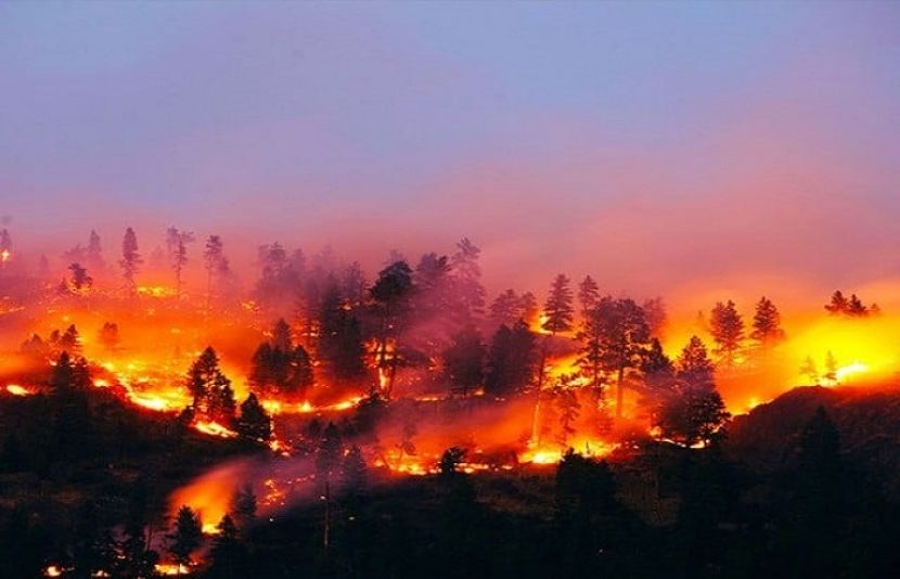 قازقستان کے جنگلات میں آگ کگنے سے 14 افراد ہلاک ہو گئے