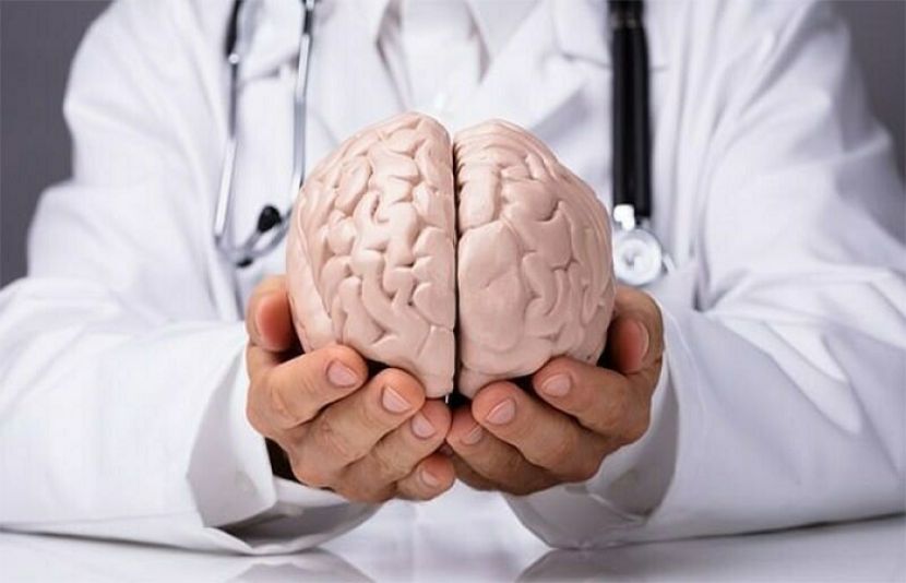 دماغی جوانی کی مدت پر نئی تحقیق