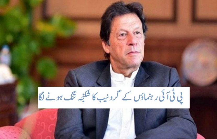 پاکستان تحریک انصاف کے چیئرمین، وزیر اعظم عمران خان 