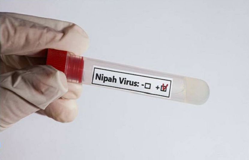 بھارت کی ریاست مغربی بنگال میں کورونا سے بھی زیادہ خطرناک نپاہ وائرس کے کیسز رپورٹ پوئے ہیں جس کے بعد الرٹ جاری کر دیا گیا ہے