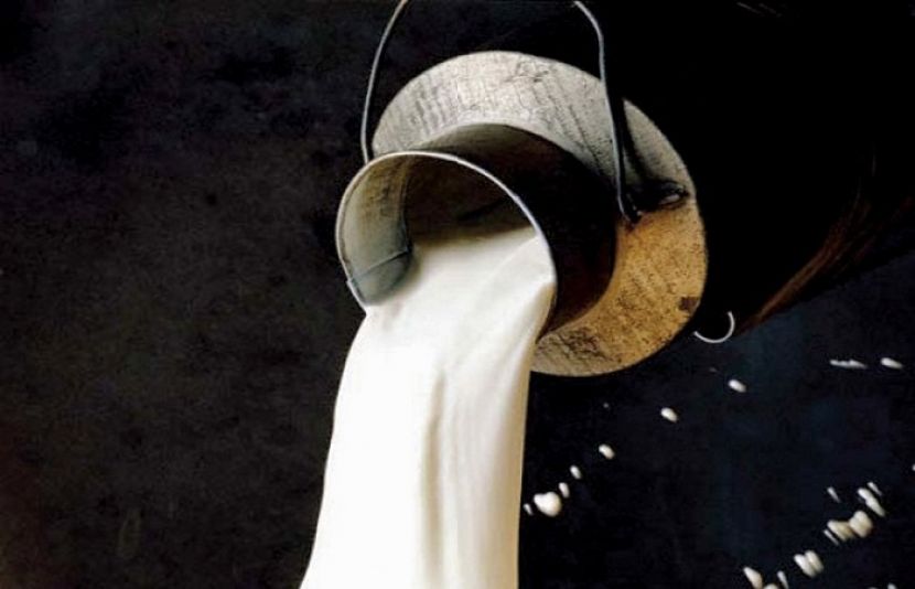 کراچی میں دودھ کی قلت کا خدشہ