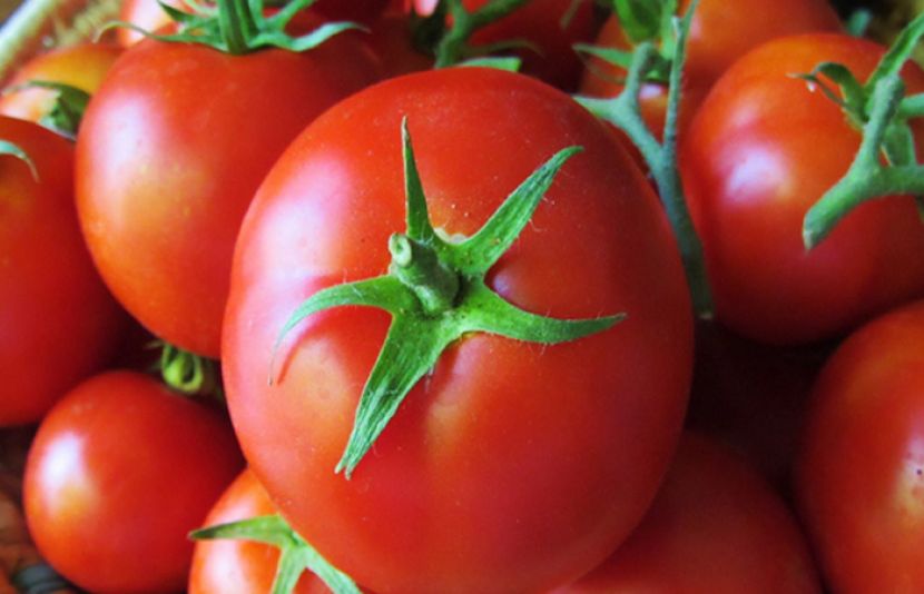 اگر آپ کو ٹماٹر کھانا پسند ہے تو یہ عادت صحت کے لیے فائدہ مند ثابت ہوتی ہے
