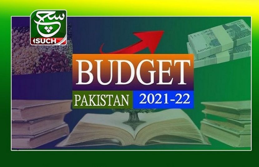 قومی اسمبلی میں فنانس بل پیش کرنے کی تحریک کثرت رائے سے منظور