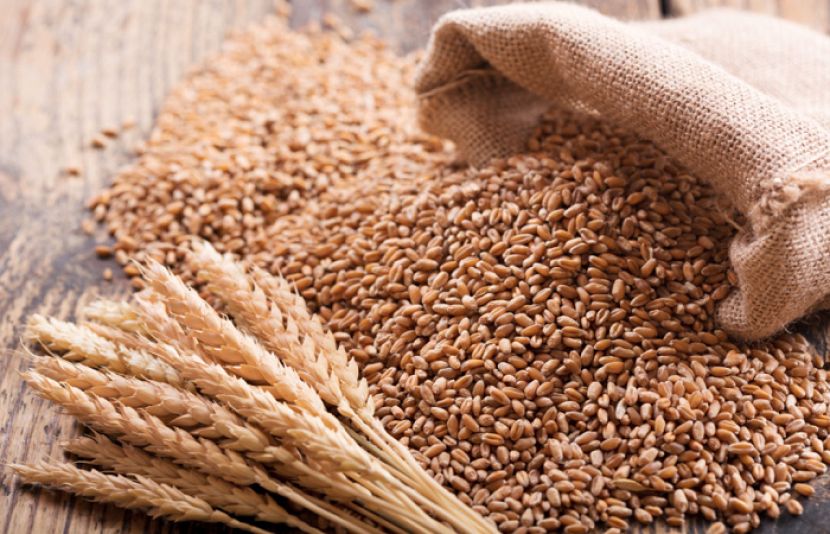 پنجاب میں گندم کی امدادی قیمت 3 ہزار روپے فی من مقرر کردی گئی