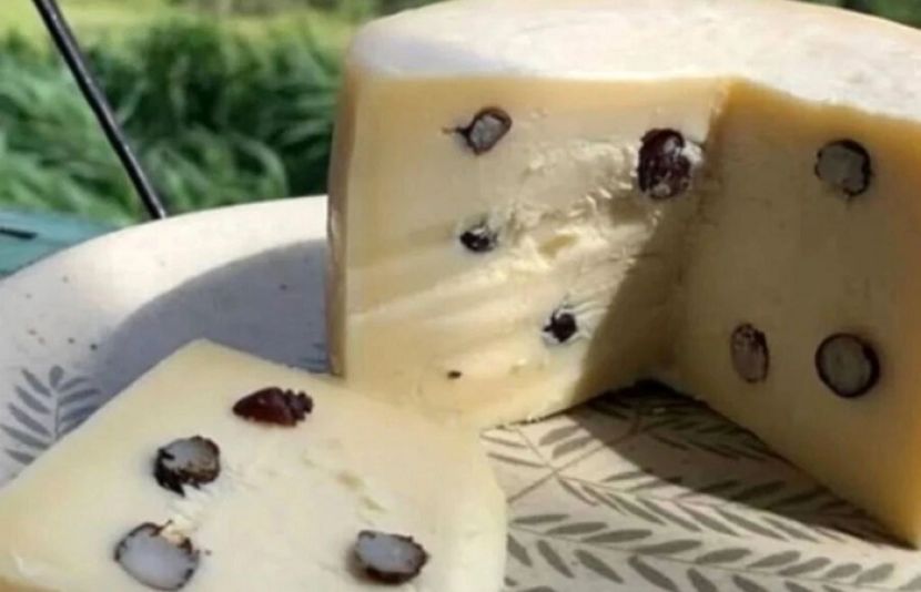 برازیل میں کچھ مخصوص چیونٹیوں کو دودھ کے ساتھ ملا کر منفرد پنیر تیار کیا جاتا ہے