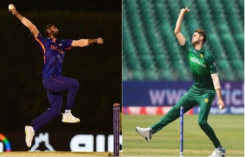 شاہین اور بمرا