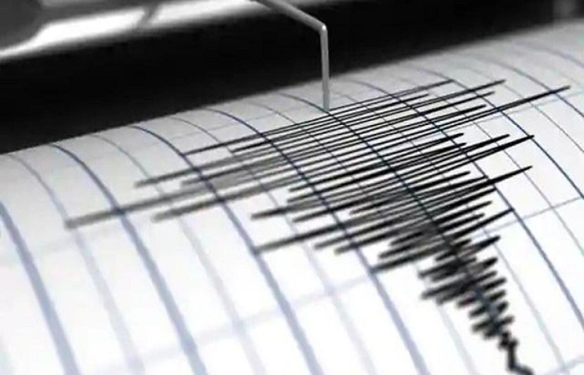 نئی دہلی اور گرد و نواح میں تقریباً 30 سیکنڈ تک زلزلے کے جھٹکے محسوس کیے گئے۔