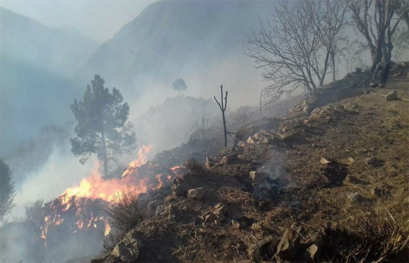 شانگلہ کے پہاڑوں میں لگی آگ کی زد میں آکر 4 افراد جانبحق 