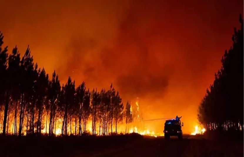 امریکا کی ریاست ہوائی کے جنگلات آگ لگنے سے اموات کی تعداد 67 ہوگئی