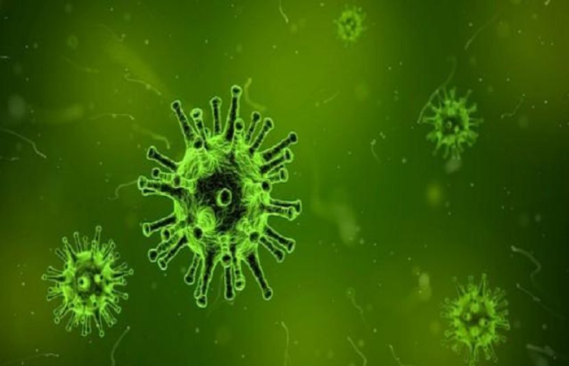 بھارت میں نیا وائرس سراٹھانے لگا، الرٹ جاری کردیا گیا