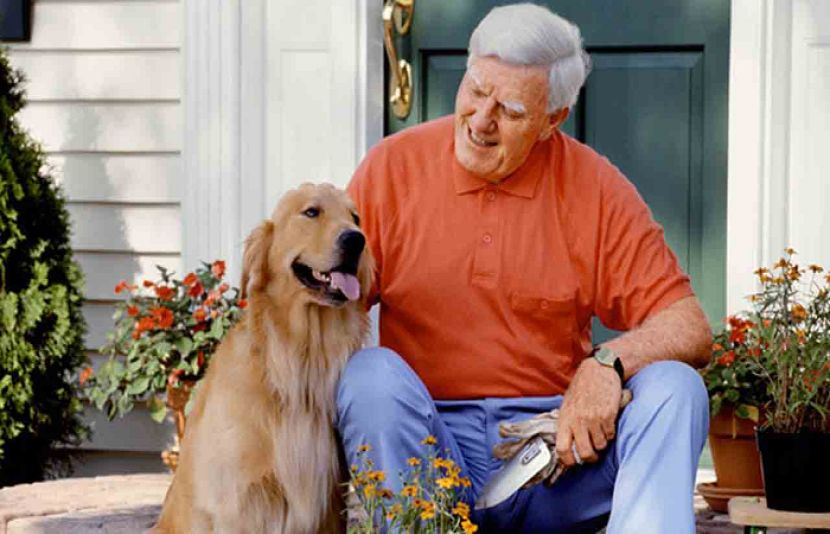 پالتو جانوروں سے زہنی صلاحیت پر کیا اصر پڑتا ہے؟ نئی تحقیق سامنے