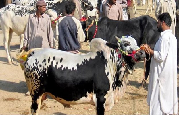 بلوچستان حکومت نے مویشی منڈیوں کیلئے ایس او پیز تیار کرلیے ہیں