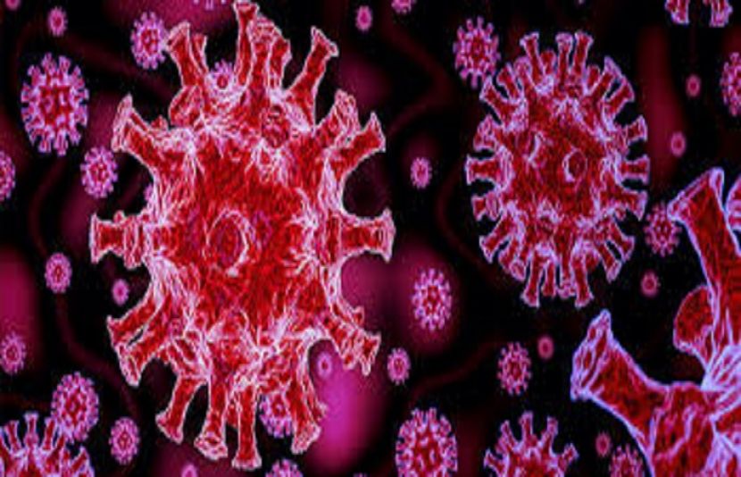 کورونا وائرس کی تعداد 3 کروڑ 17 لاکھ 77ہزار987 سے تجاوز کر گئی