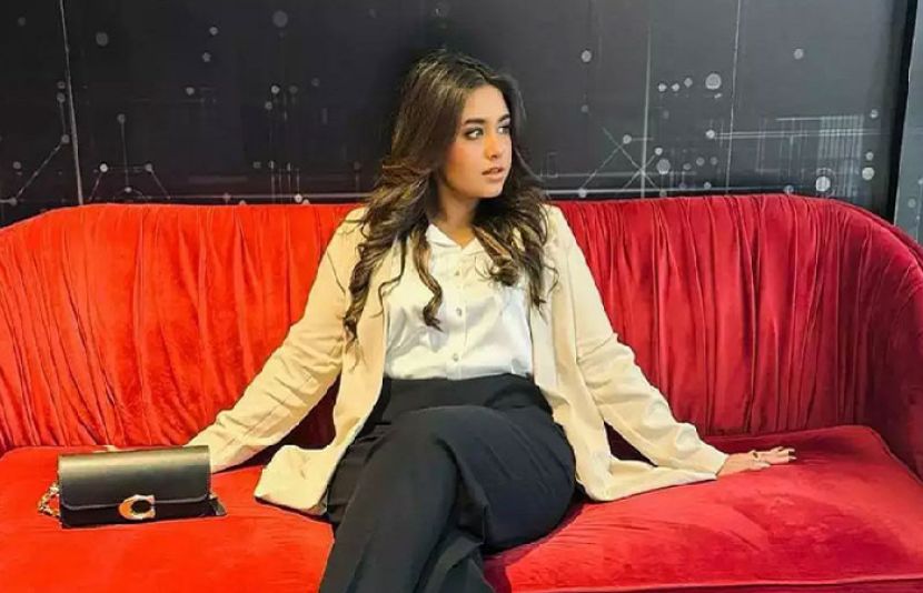 وڈیو لیک پرمناہل ملک کا ردعمل سامنے آگیا