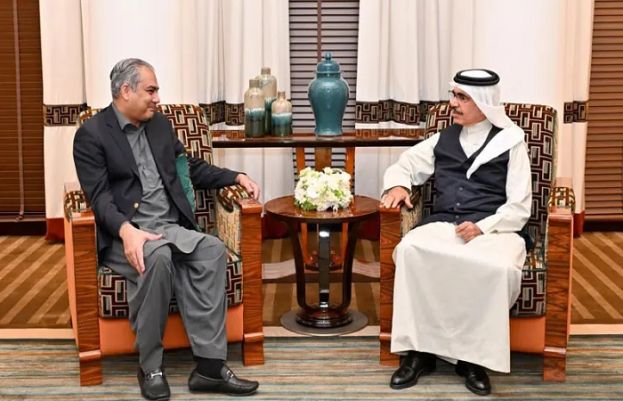 محسن نقوی کی بحرین کے وزیر داخلہ سے ملاقات، دوطرفہ تعلقات سمیت دیگر امور پر تبادلہ خیال