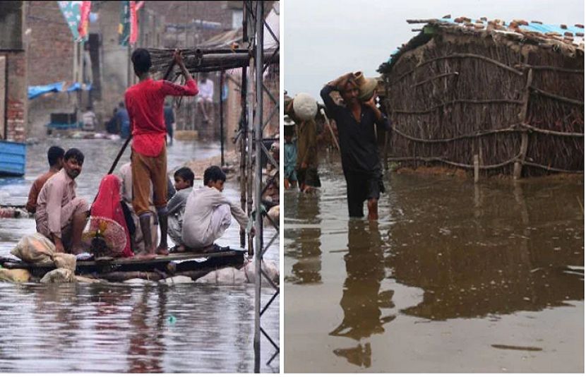 سیلاب نے  زراعت کو تباہ کر دیا،  وزارت خزانہ کی ماہانہ اقتصادی رپورٹ جاری