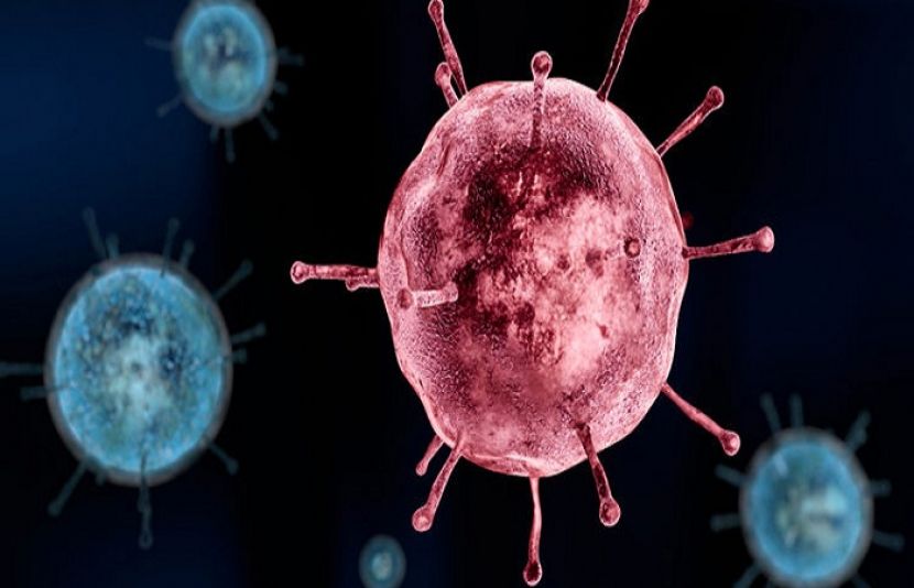 چین میں کرونا وائرس سے ہلاکتوں کی تعداد 56ہوگئی