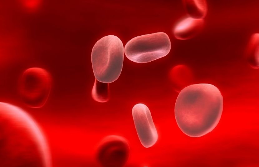 جسم میں خون کے سرخ خلیات کی کمی کا سامنا ہو تو یہ انیمیا کا عارضہ ہوتا ہے