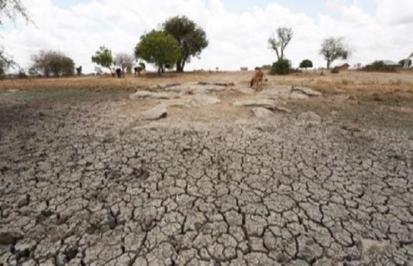 اقوام متحدہ کی خشک سالی سے شدید متاثرہ ممالک کی فہرست میں پاکستان بھی شامل