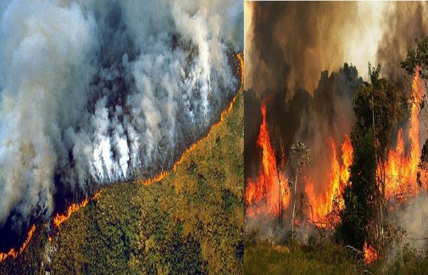 سب سے بڑے برساتی جنگل دی ایمازون میں آگ بھڑک اٹھی ہے