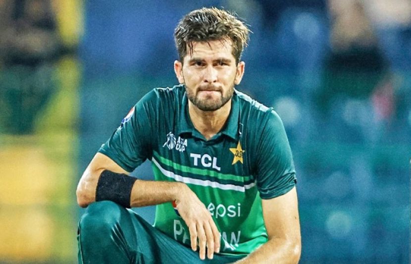 شاہین شاہ آفریدی