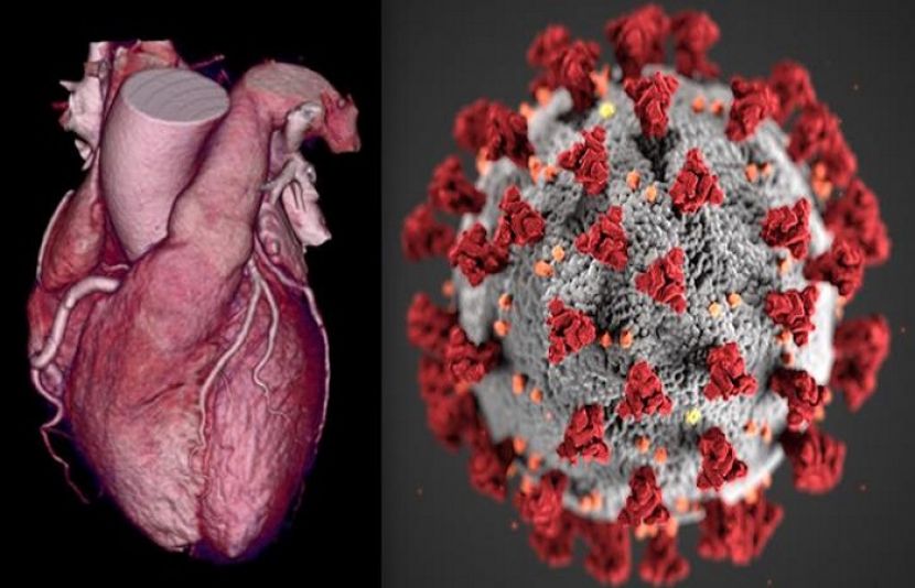 کورونا کے بعد ہارٹ اٹیک کے کیسز میں غیر معمولی اضافہ