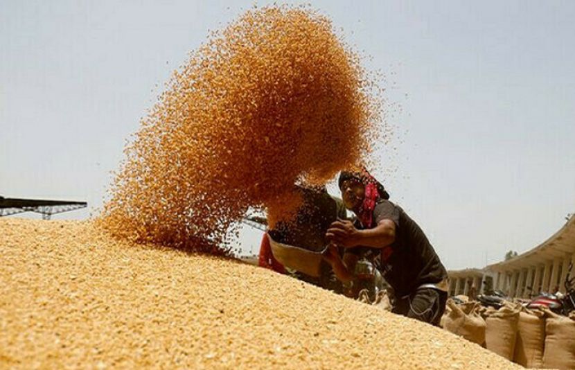 شیخوپورہ میں کارروائی کے دوران 20 ہزار سے زائد غیرقانونی گندم کے تھیلے برآمد ہوئے