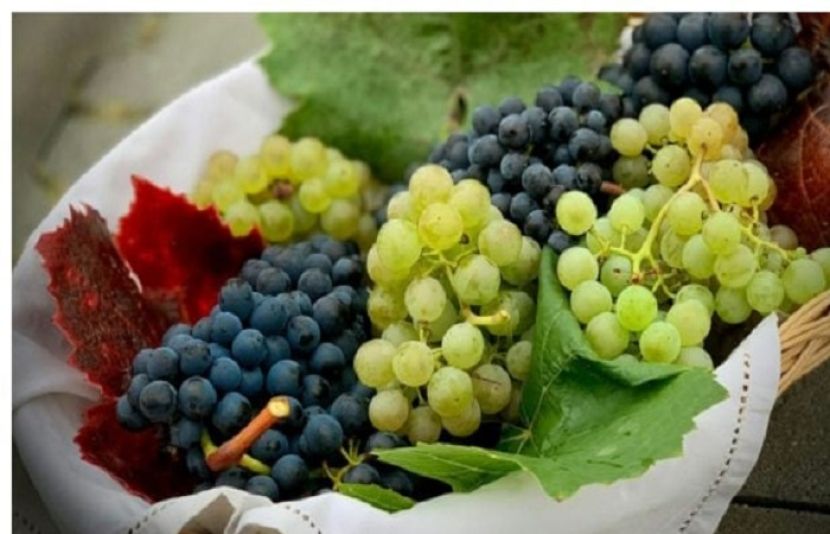 سبز یا سیاہ انگور، ماہرین نے کھانے میں احتیاط کا مشورہ دے دیا
