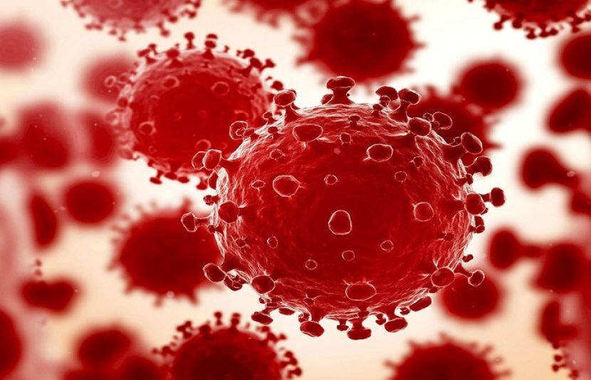 کورونا وائرس سےمزید 48 افراد جان کی بازی ہار گئے، جانبحق ہونےوالوں کی تعداد 11 ہزار سے تجاوز 