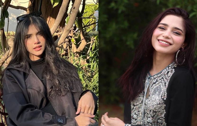 آئمہ بیگ، نہال نسیم