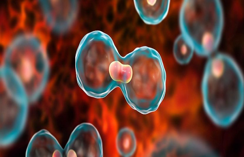 کینسر کے تیزی سے پھیلنے کی اہم وجہ دریافت