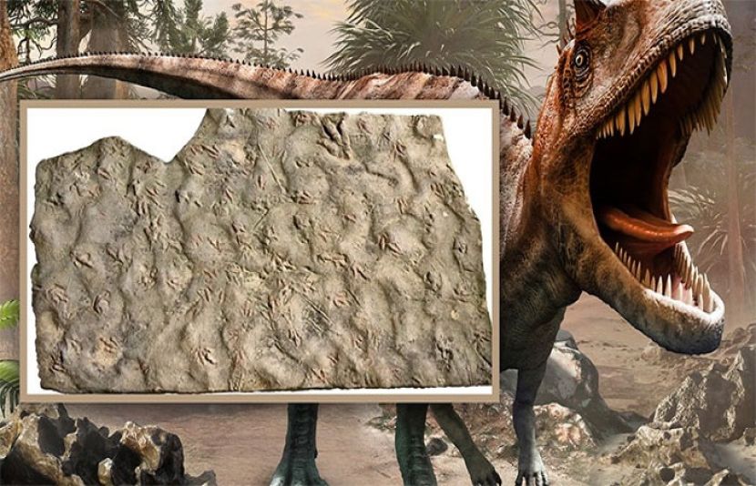 ڈائنا سور کے قدموں کے نشانات