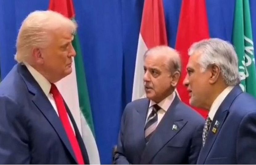 وزیراعظم شہبازشریف