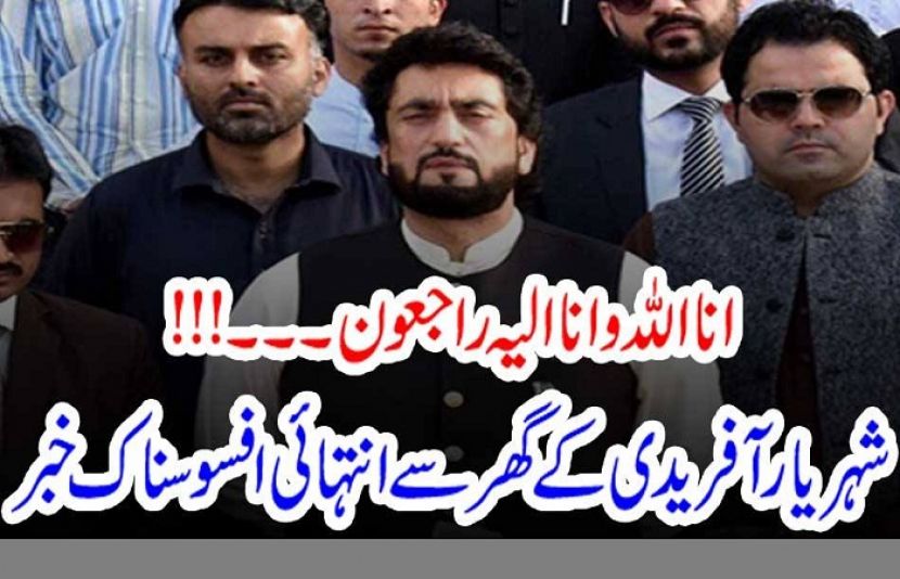 وفاقی وزیر شہریار آفریدی