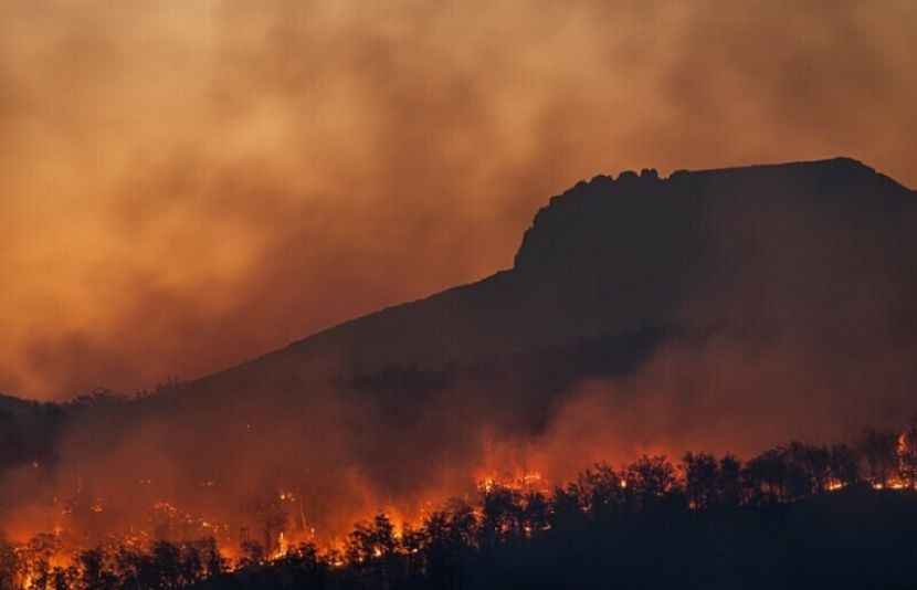 بلوچستان کے ضلع ژوب کی کلی عثمان زئی کے پہاڑوں پر جنگلات میں آگ بھڑک اُٹھی