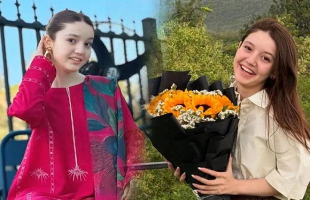 معروف ٹک ٹاکر ثنا یوسف قتل کیس میں اہم پیشرفت