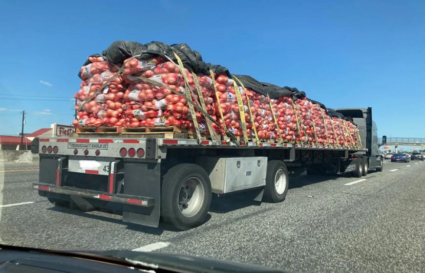 پیاز کی ایکسپورٹ