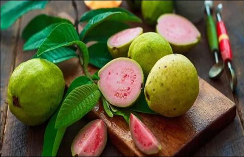  امرود سے کھانسی اور گلے کی موسمی بیماریاں دور ہوجاتی ہیں، بدہضمی میں امرود استعمال کریں تو پیٹ صاف ہوجاتا ہے