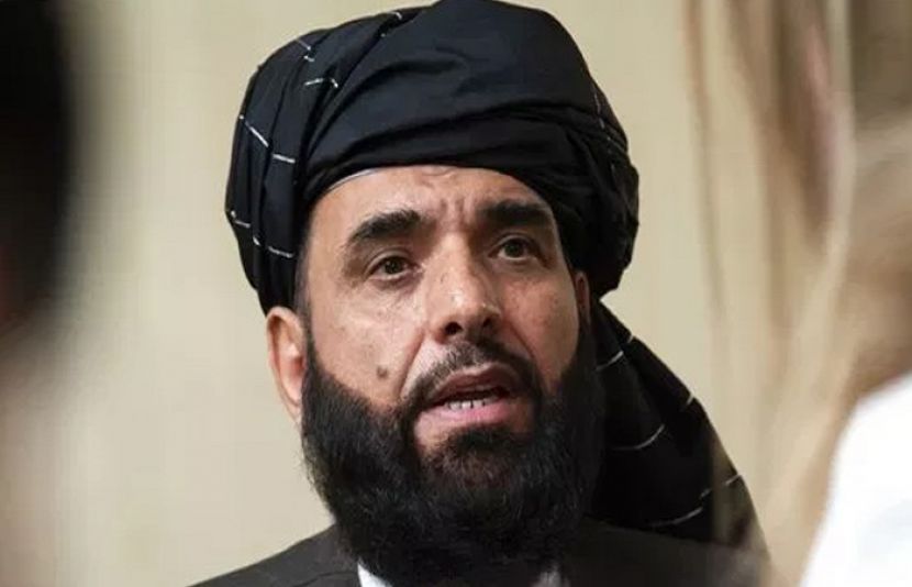 افغان طالبان کے ترجمان سہیل شاہین